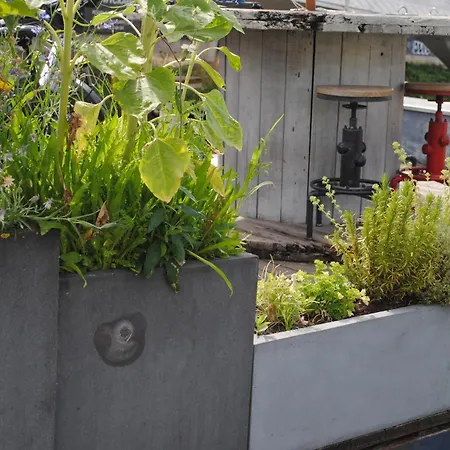 Botel Boat & Breakfast Bellevue *