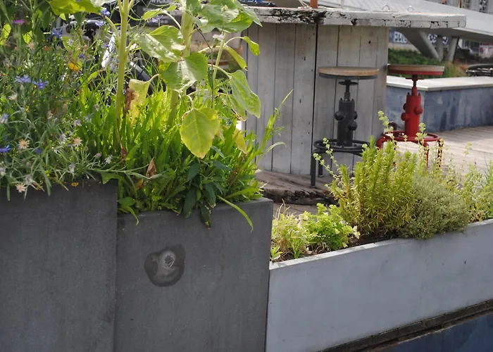 Båthotell Boat & Breakfast Bellevue *