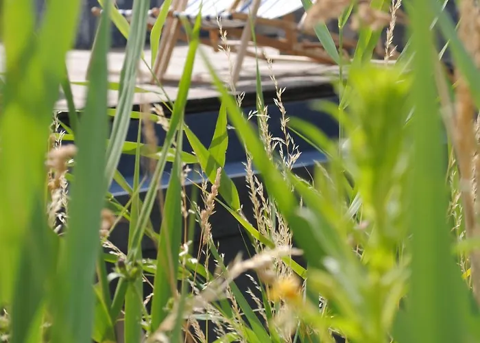 Boat & Breakfast Bellevue